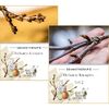 Skripten für Gemmotherapie