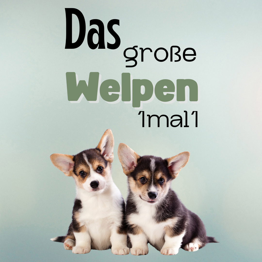 Design ohne Titel(3)-1080x1080.png