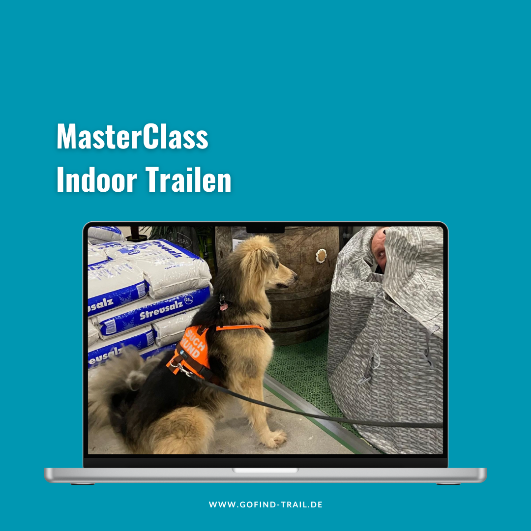 GO_FIND_MasterClass_Indoor_Trailen-1080x1080.png
