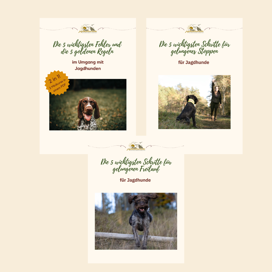 3er bundle-1080x1080.png