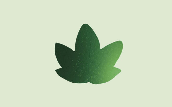 loaded_image