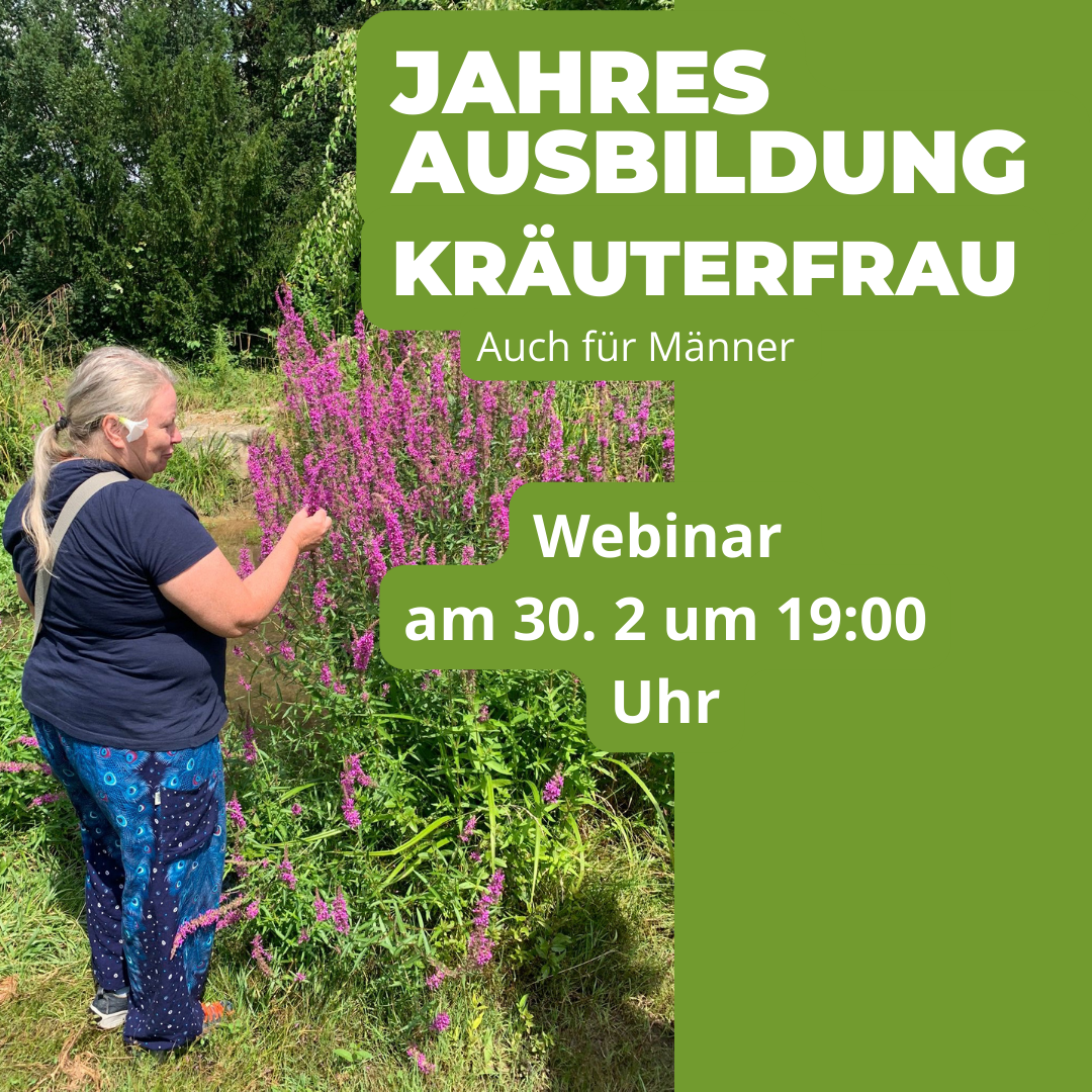 Webinar Kräuterfrau Ausbildung 