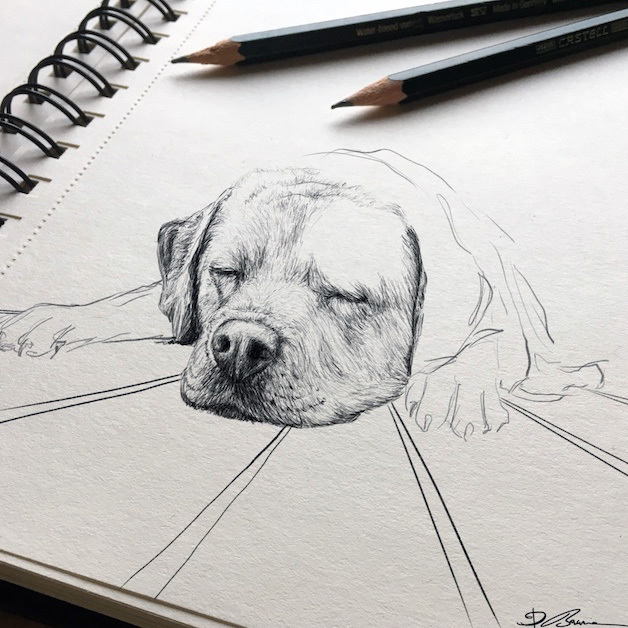 Skizze Bleistift WIP Hund b KL 2-628x628.jpg