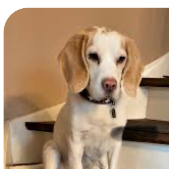 Bildschirmfoto 2025-03-24 um 09.52.34-331x331.jpeg