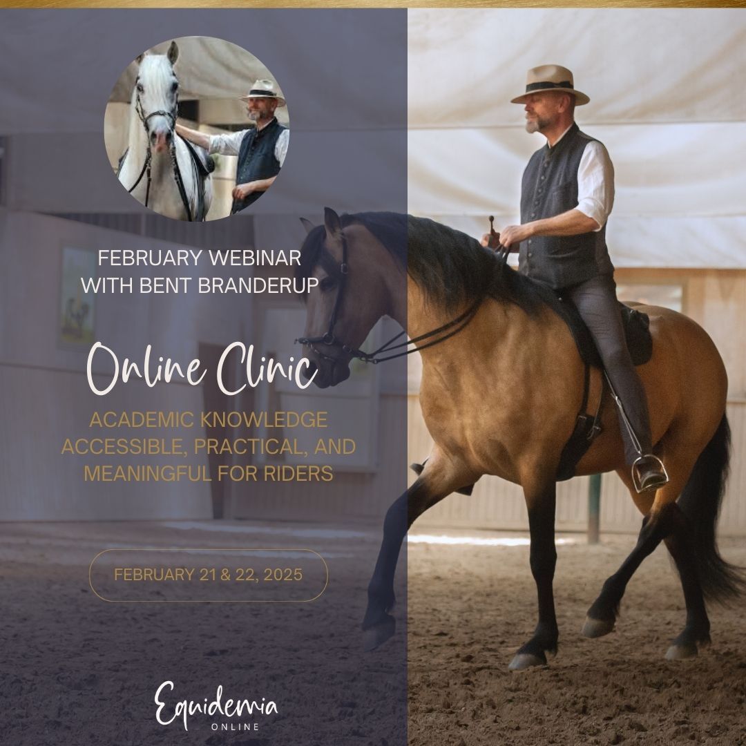 Webinar einladung (Instagram Post) (5)-1080x1080.jpg