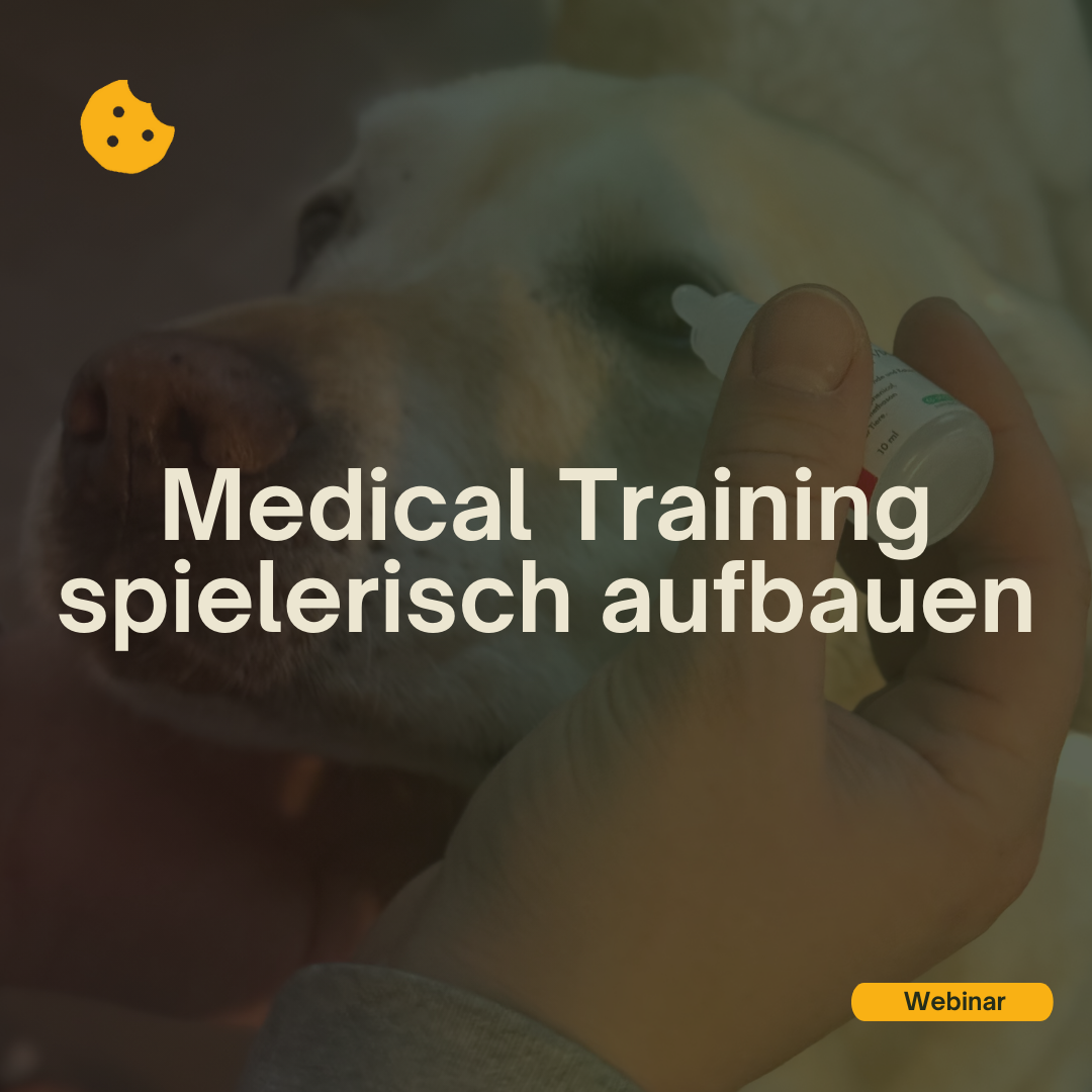 Webinar Medical Training spielerisch aufbauen
