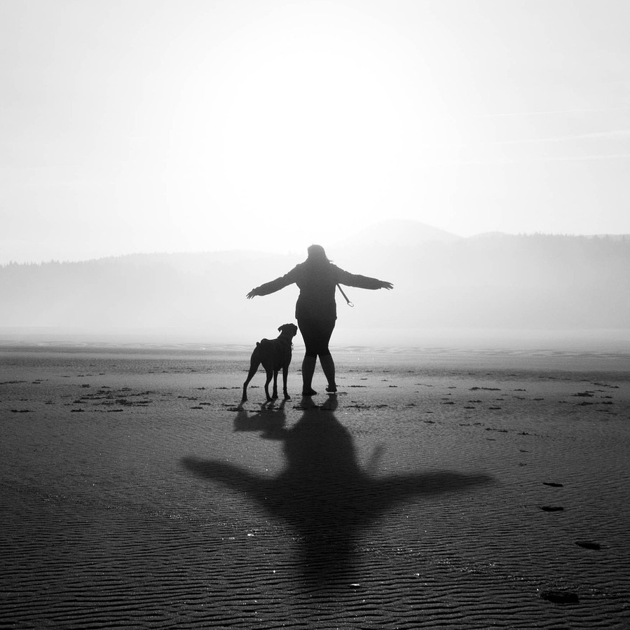 Natürliche Sterbebegleitung beim Tier