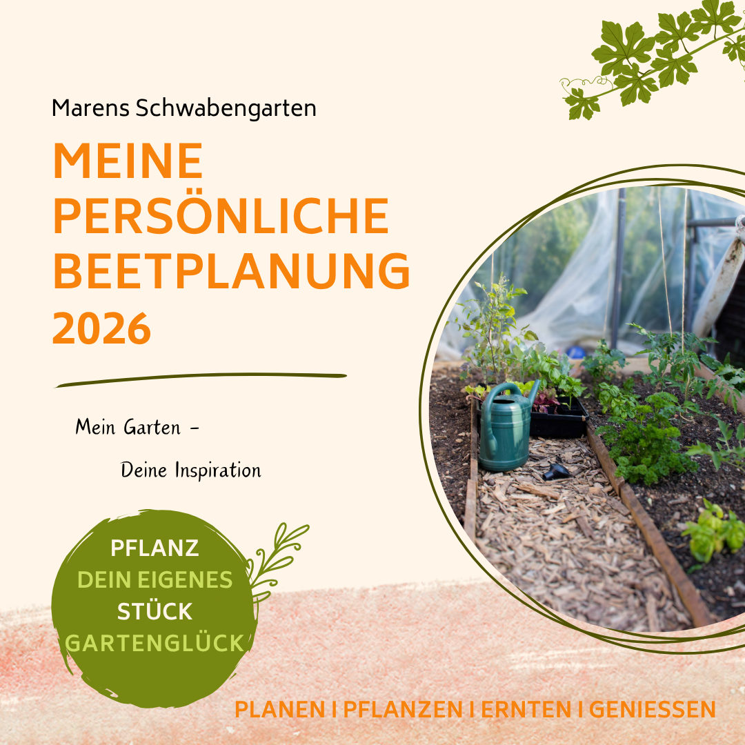Banner für PDF Meine persönliche Beetplanung 2026
