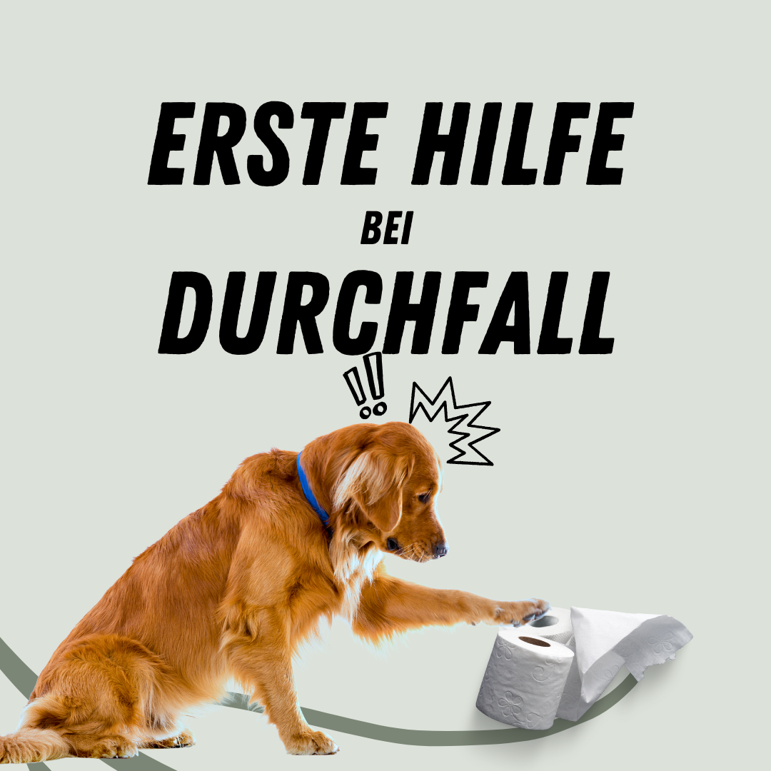 Design ohne Titel(2)-1080x1080.png