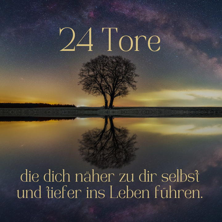 _24-Tore-720x720.png