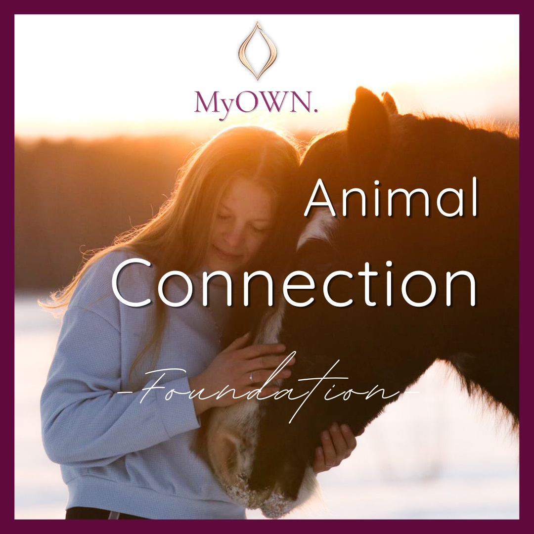 Produktbild für MyOWN. Animal Connection -Foundation- Onlinekurs