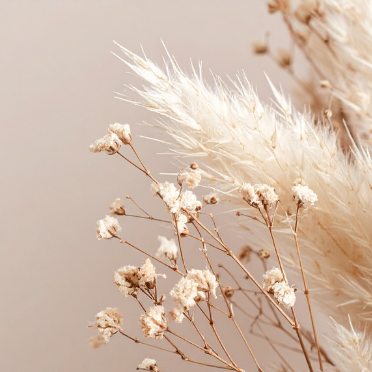 Masterclass „Erfolgreich selbstständig mit Hund“