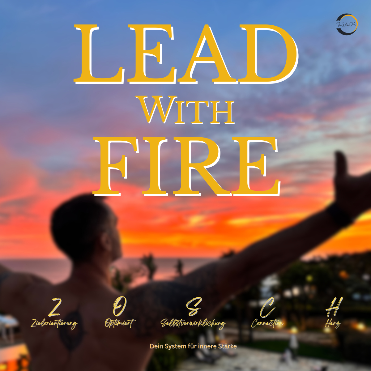 Lead With Fire - 5 Module Coaching Audio Programm von Sascha Müller