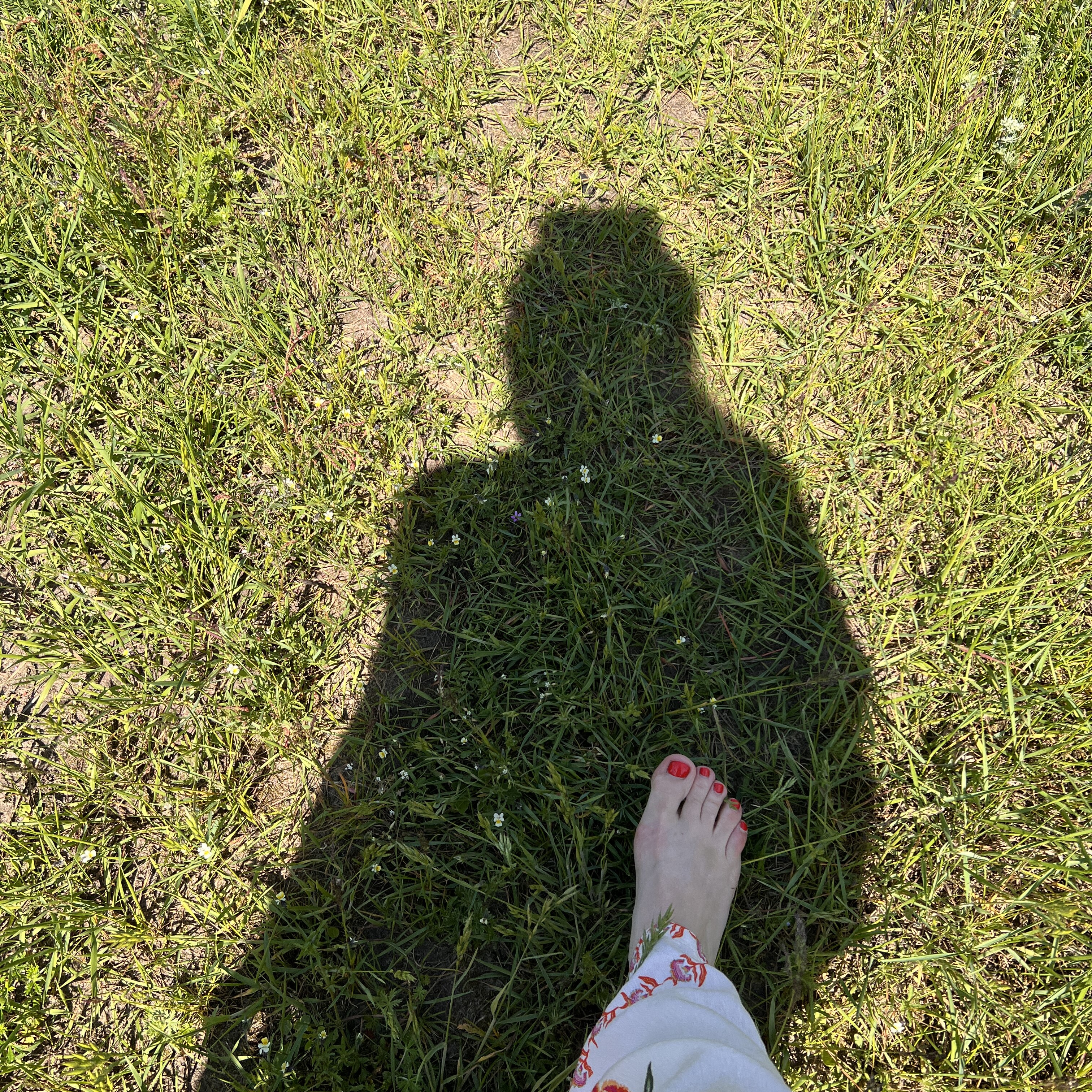 barfuss im Gras-3024x3024.JPG