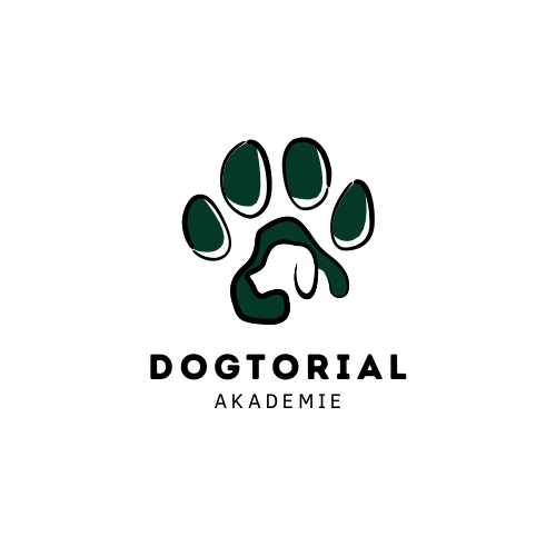 Logo hintergrund akademie - 1-500x500.PNG