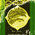 digital-icon