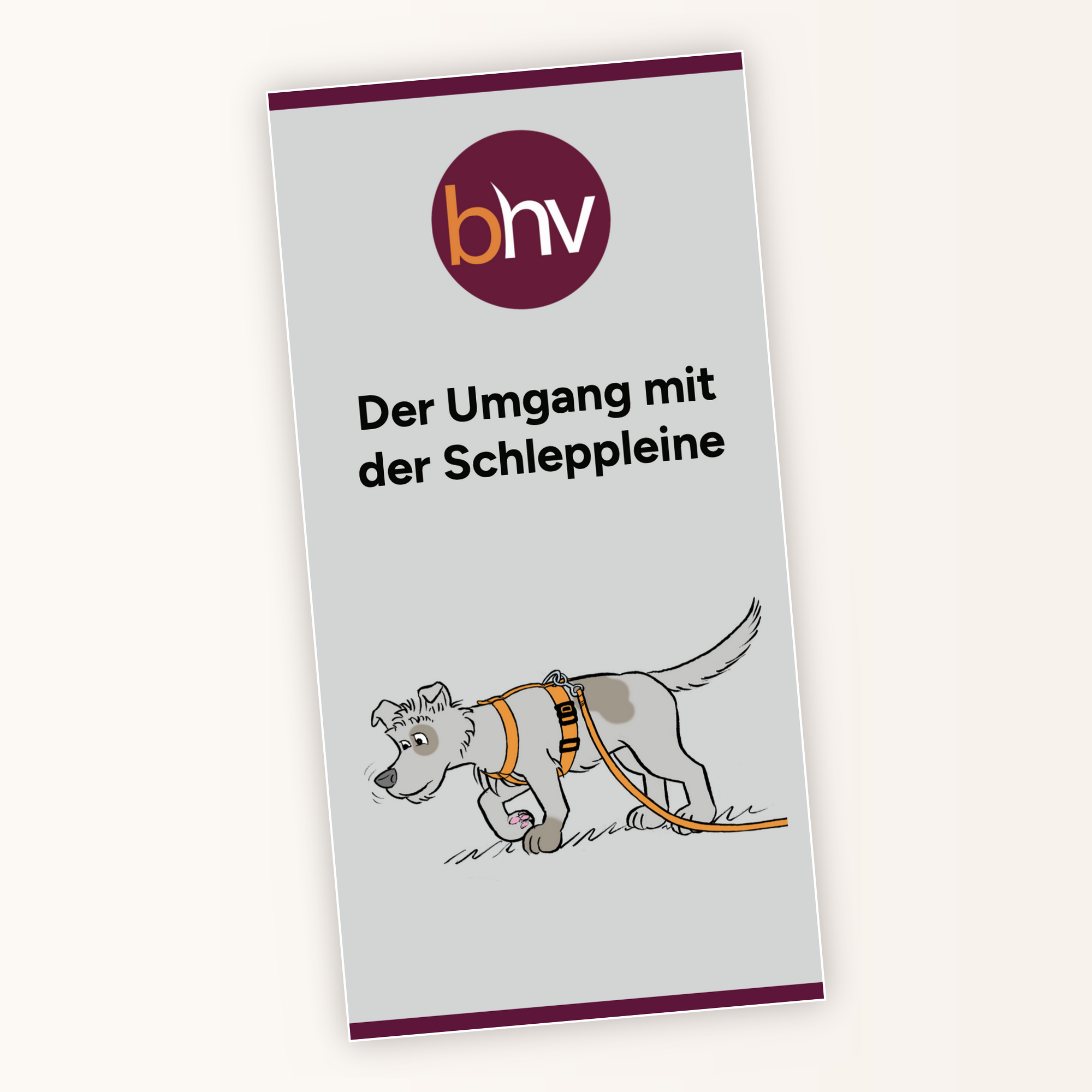 ablefy-produktbild-schleppleine-einheitlich-2000x2000.png