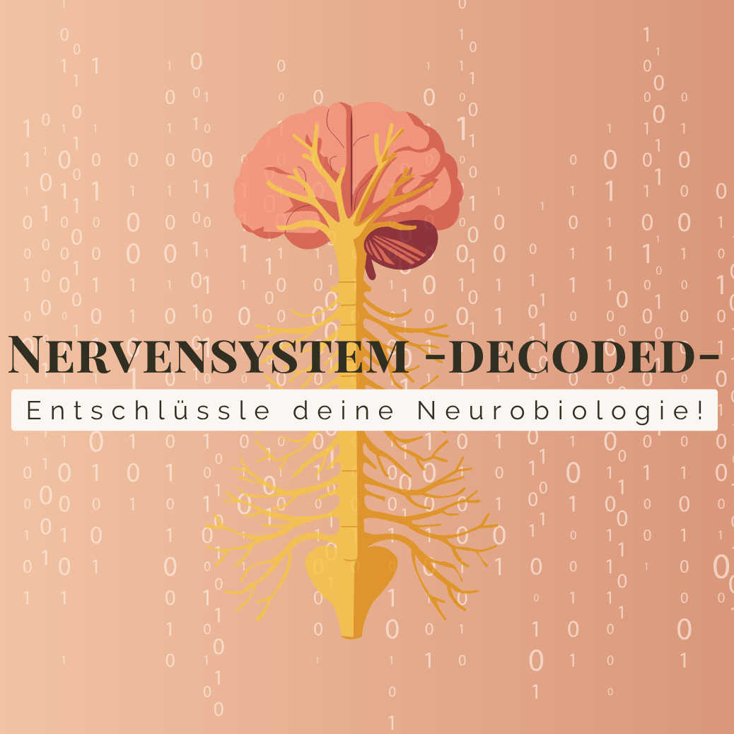 Nervensystem Decoded Quadrat Ablefy-1038x1038.png