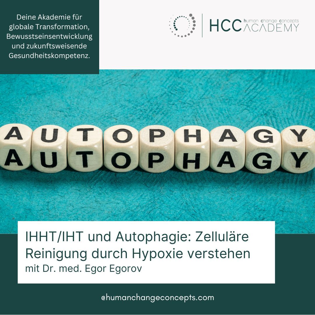 Autophagie im Kontext IHHT/IHT - Zelluläre Mechanismen verstehen