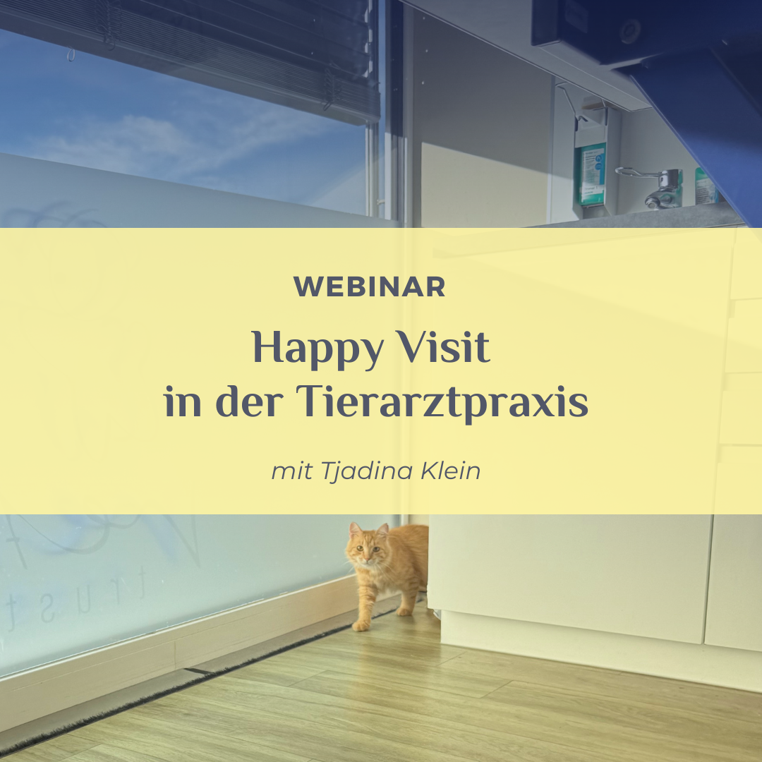 Happy Visit in der TA-Praxis, Flash am erkunden