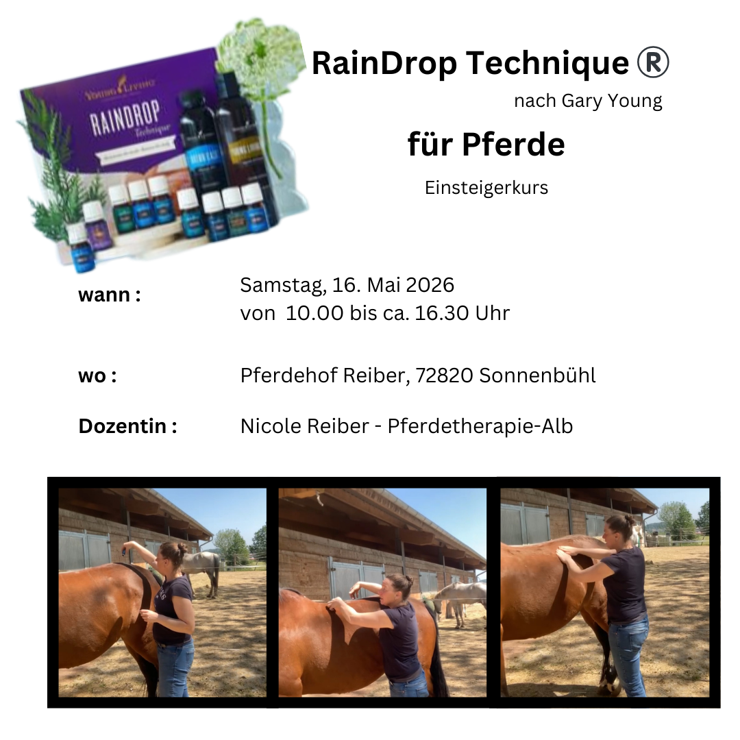 RainDrop Undingen-1080x1080.png