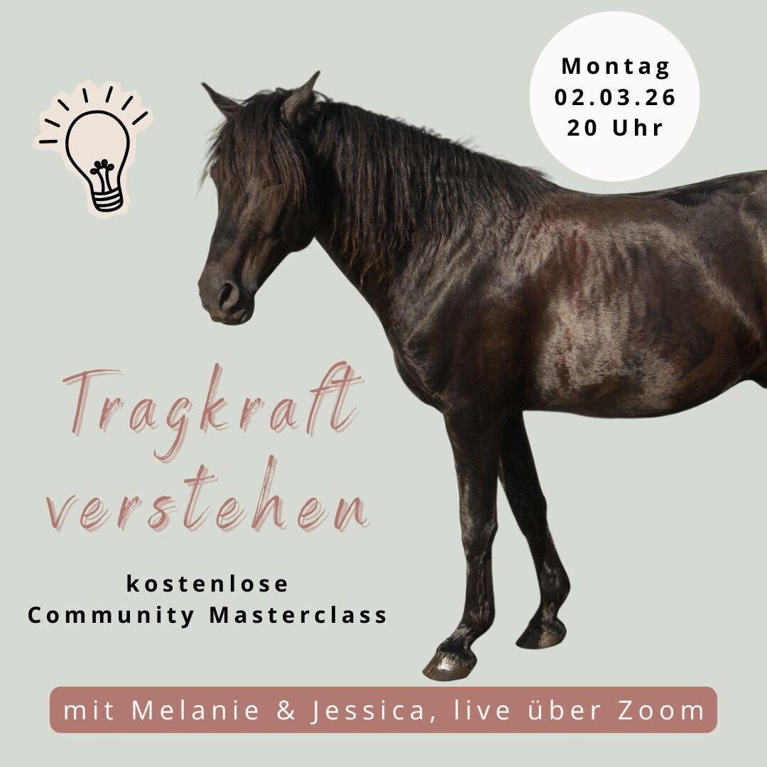 Kopie von Tragkraft des Pferdes Präsentation (Instagram-Post (45)) (1)-1080x1080.jpg