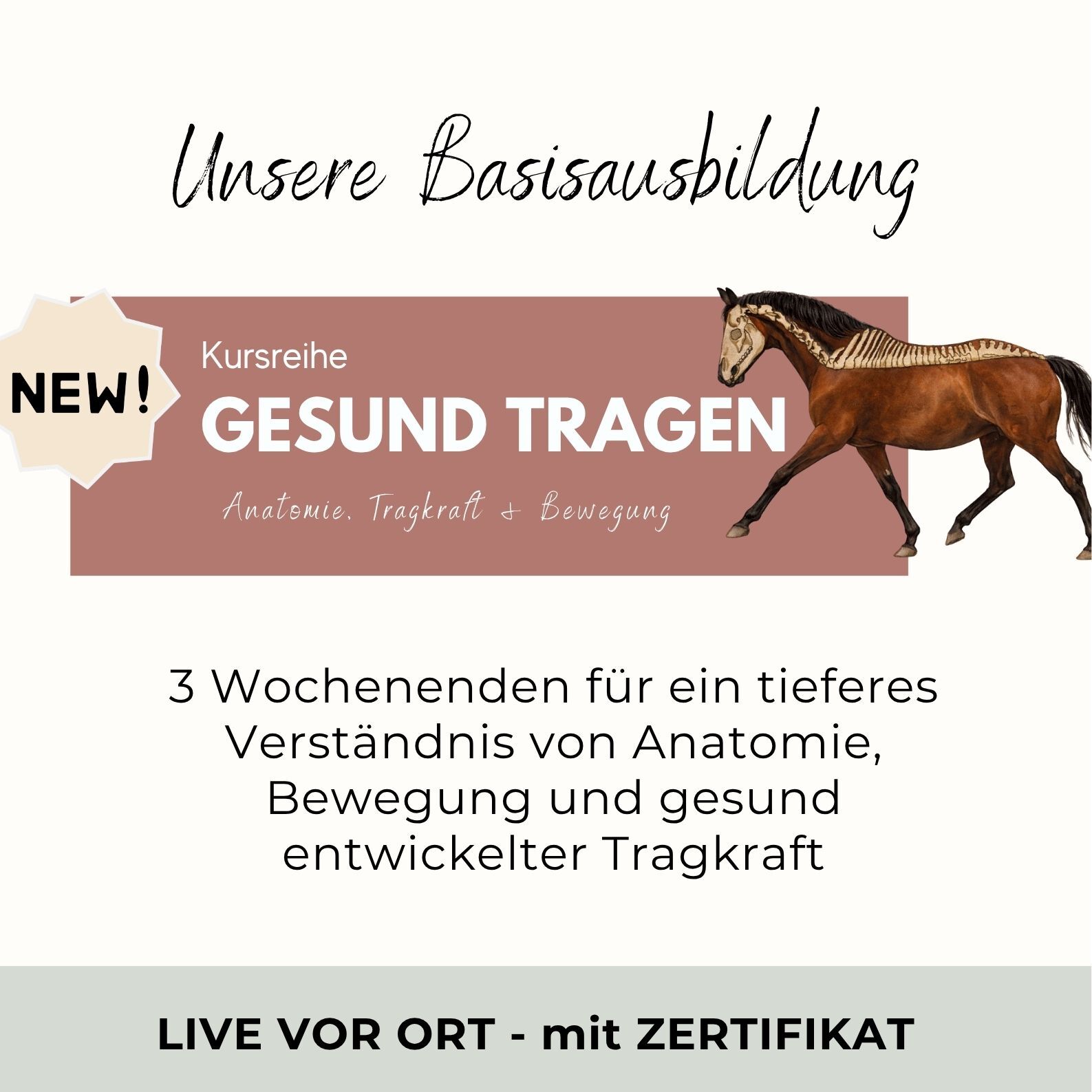 Basisausbildung GESUND TRAGEN (2).pdf-1587x1587.jpg