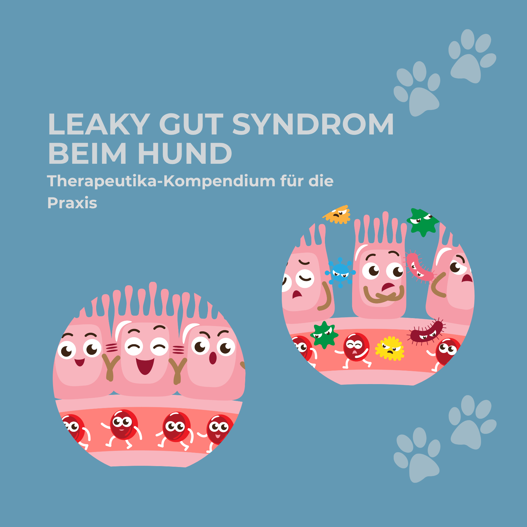 Leaky gut Syndrom Cover