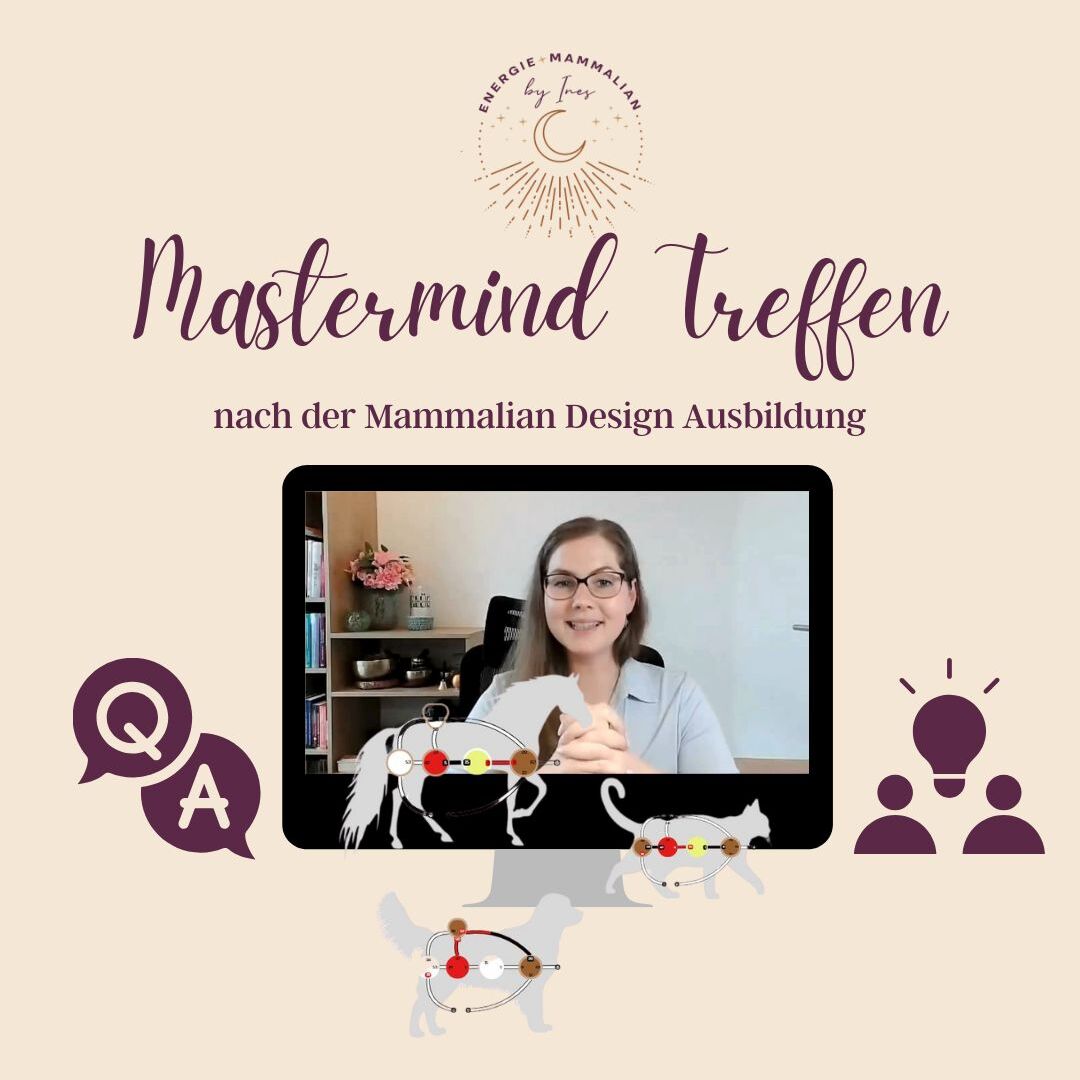 Produktbild Mastermind Treffen