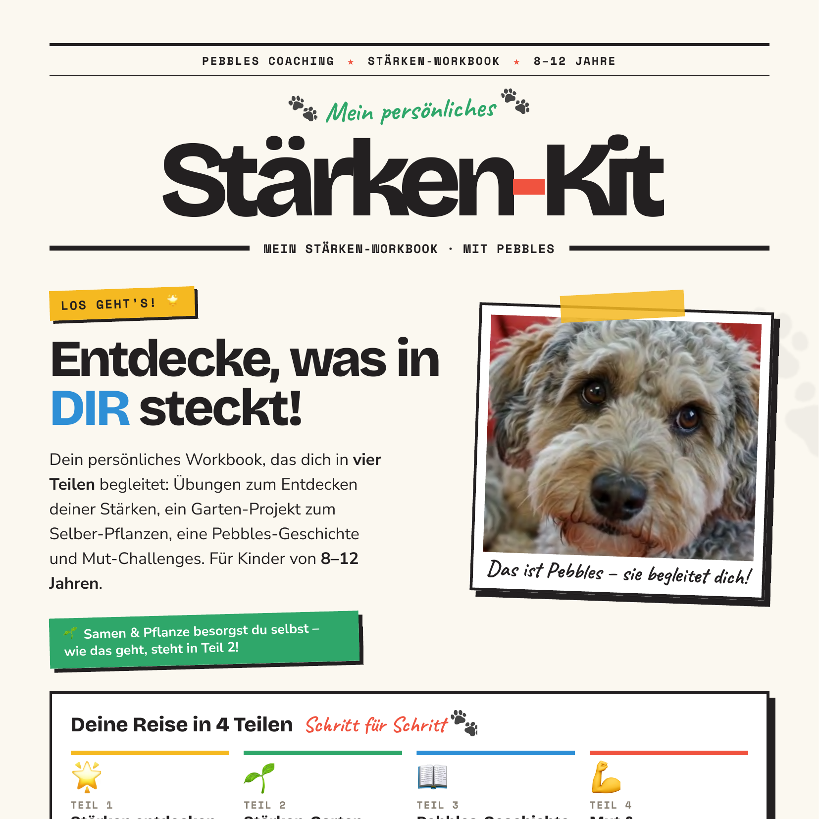 Staerken-Kit_Cover_Quadrat-1654x1654.png