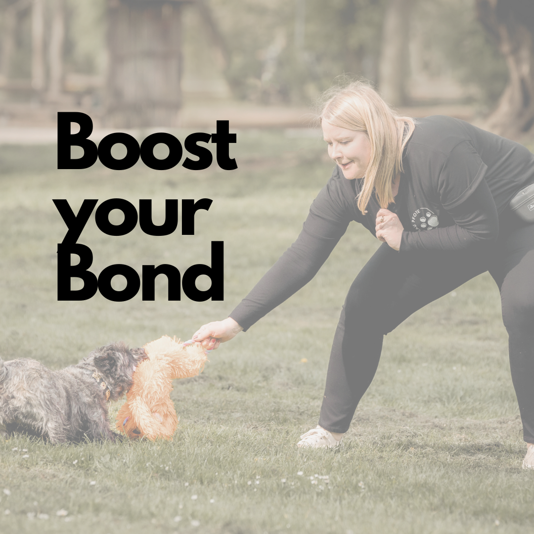 Text: Boost your Bond, im Hintergrund spielt Steffi mit einem kleinen Hund auf einer Wiese.