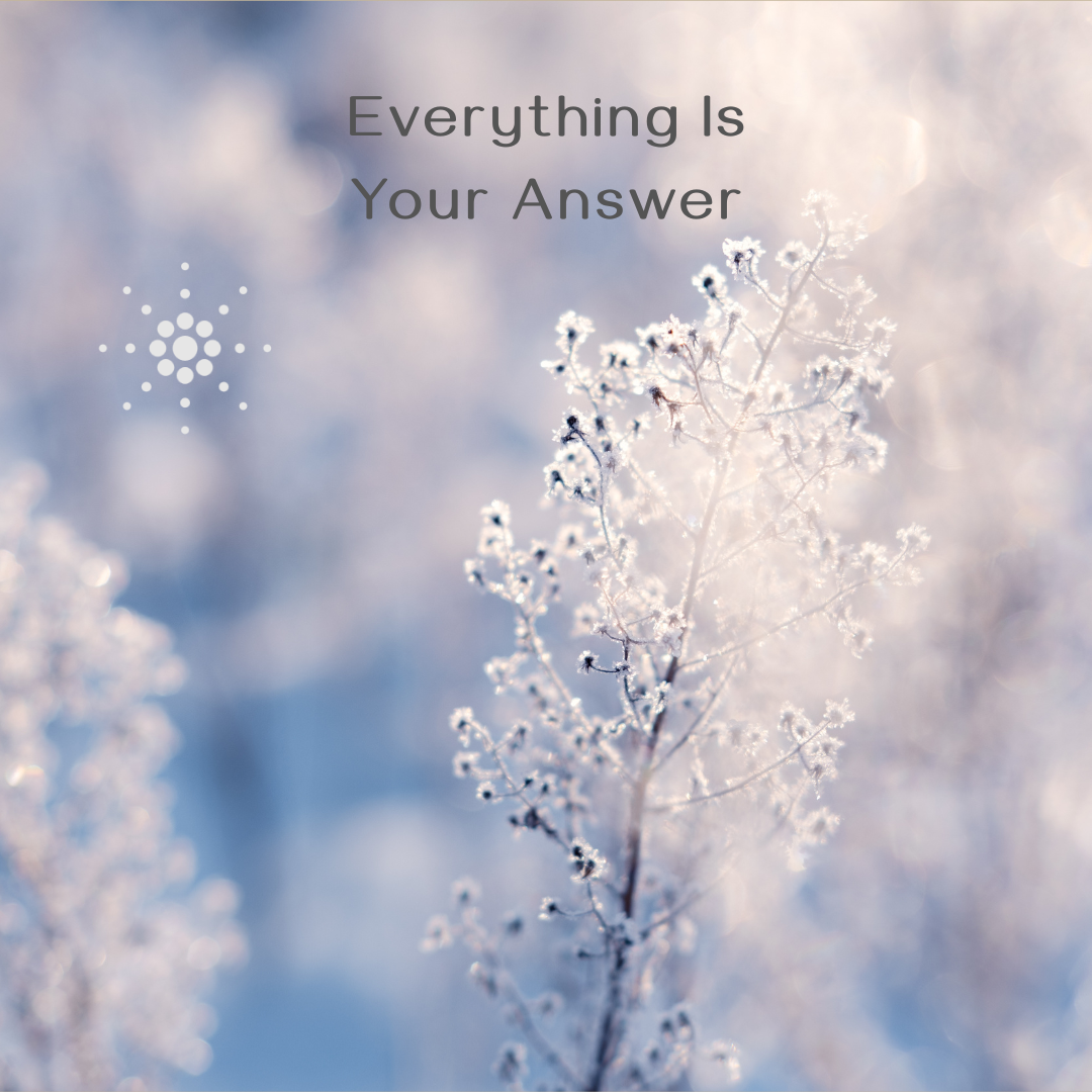 Everything is your Answer - quadratisch-1080x1080.png