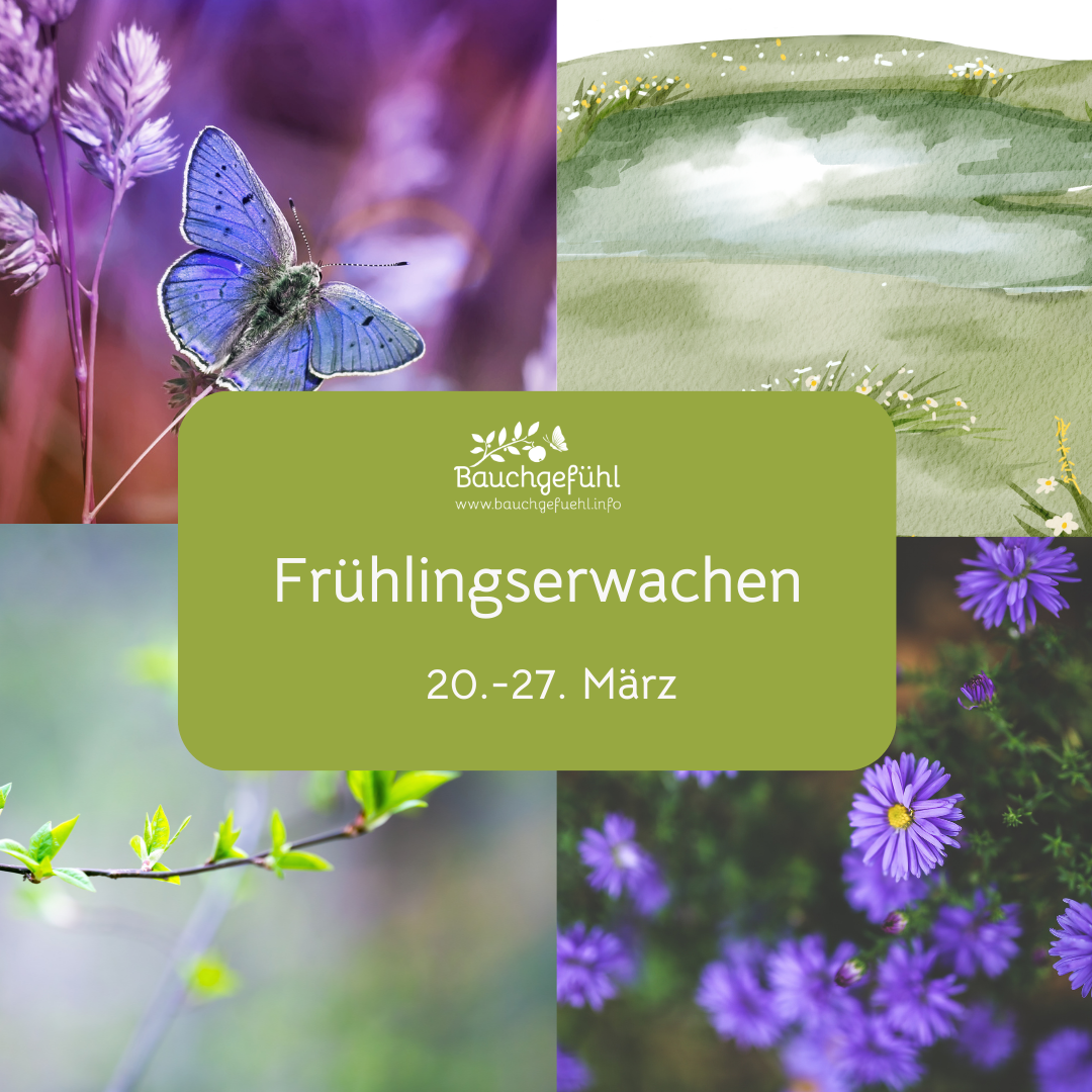 Leichter fühlen- Frühlings-Detox-Woche (1)-1080x1080.png