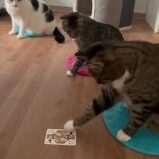 Ueber mich 3-159x159.jpg