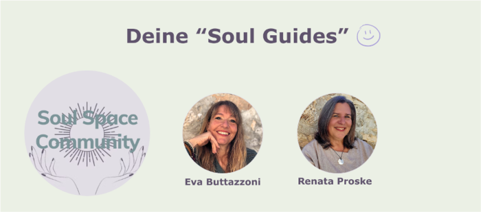 Banner Soul guides