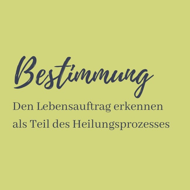 schools_sX7DFfQYGeBrkLjACx0p_thumbnails_6pwUOaSXSp4qMHwbLwwW8-thumbnail (1)-652x652.jpeg