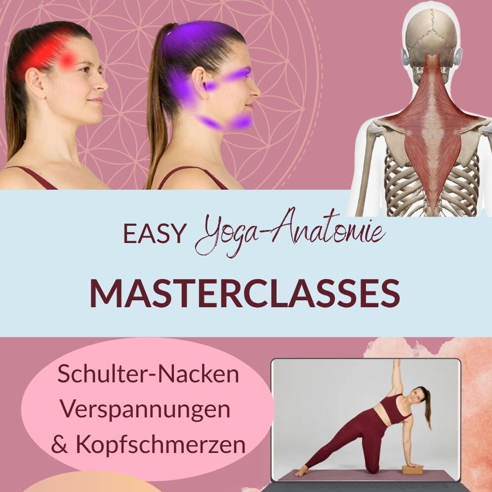 EYM 27.11 Schulter & Nacken-996x996.jpg