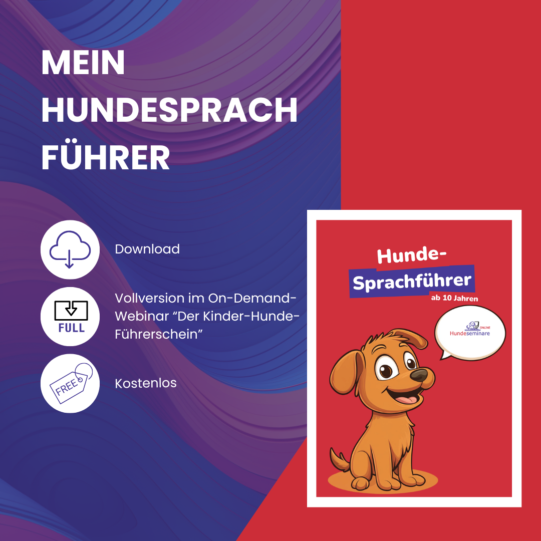 Produkte Hundeseminare Online-1080x1080.png