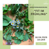 Fit im Frühling