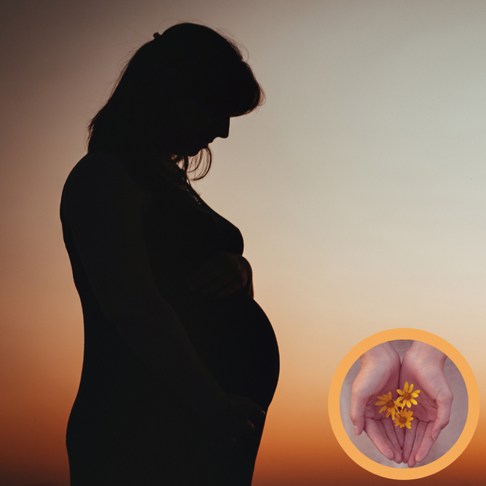 Silhouette einer schwangeren Frau