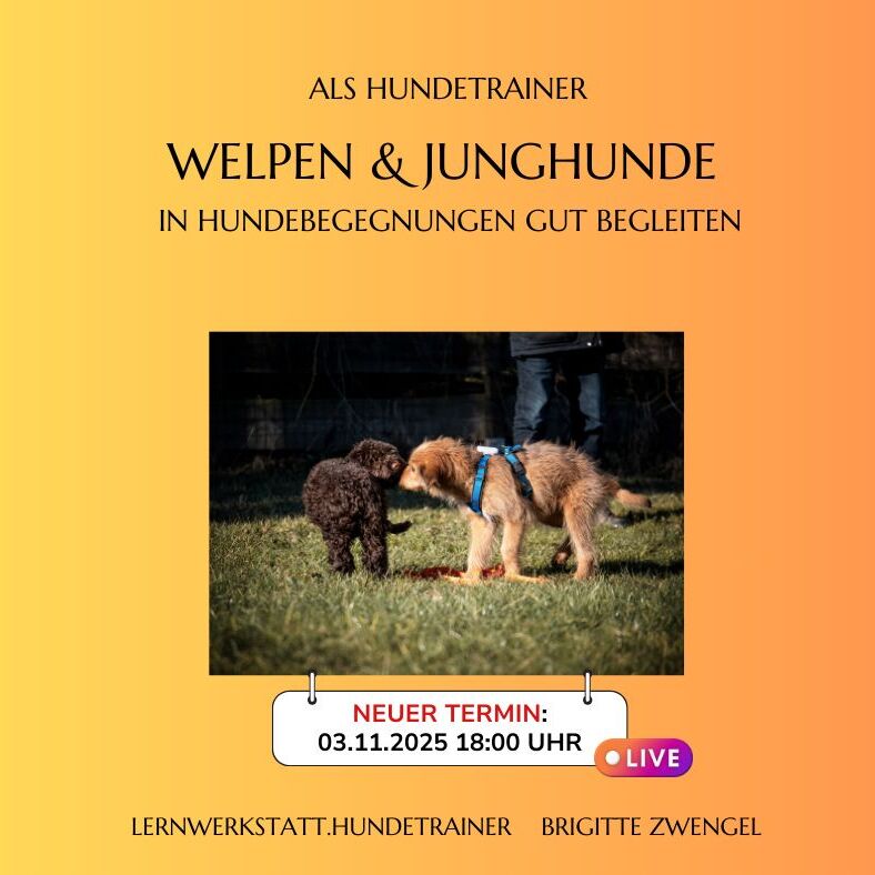 Webinar 4 Neuer Termin fb-788x788.jpg