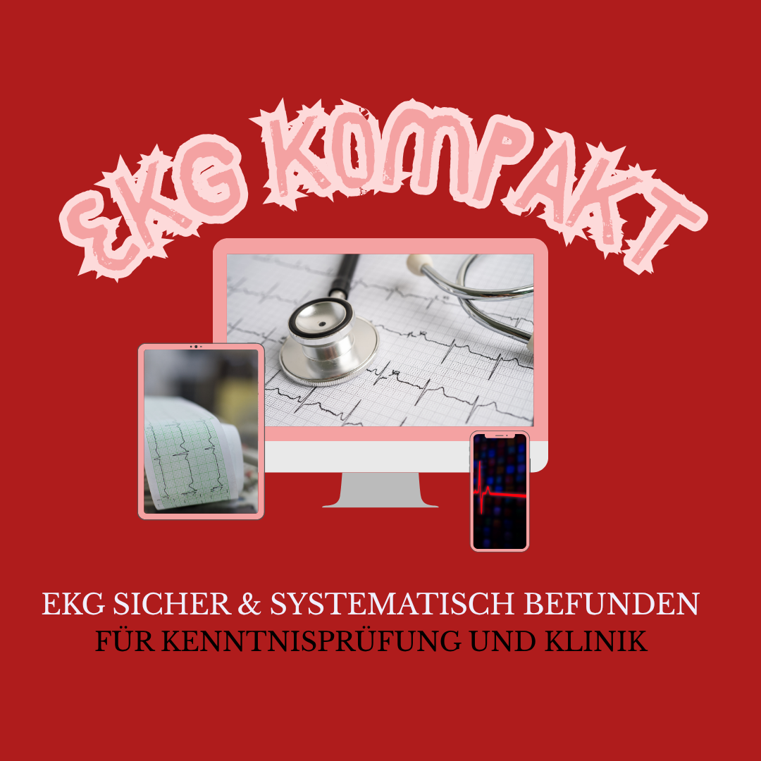 quadratisches Thumbnail EKG Kompakt (1080 x 1080 px)-1080x1080.png