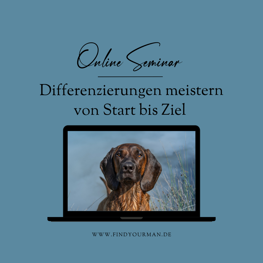 Differenzierung -1080x1080.png