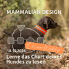 Webinar Mammalian Design