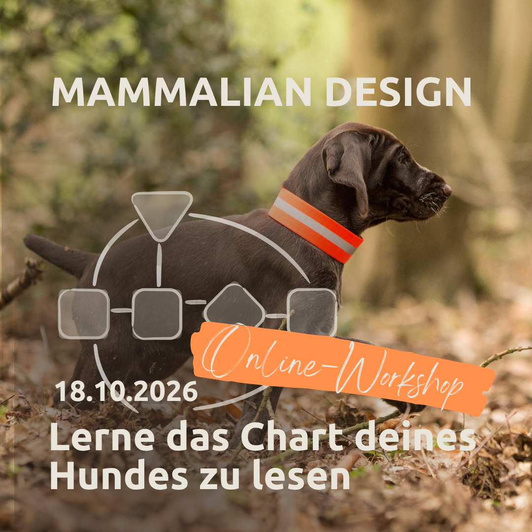 Webinar Mammalian Design