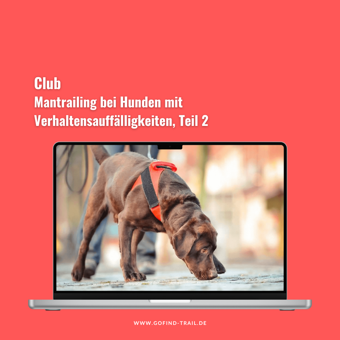 Ablefy Produkt-1080x1080.png