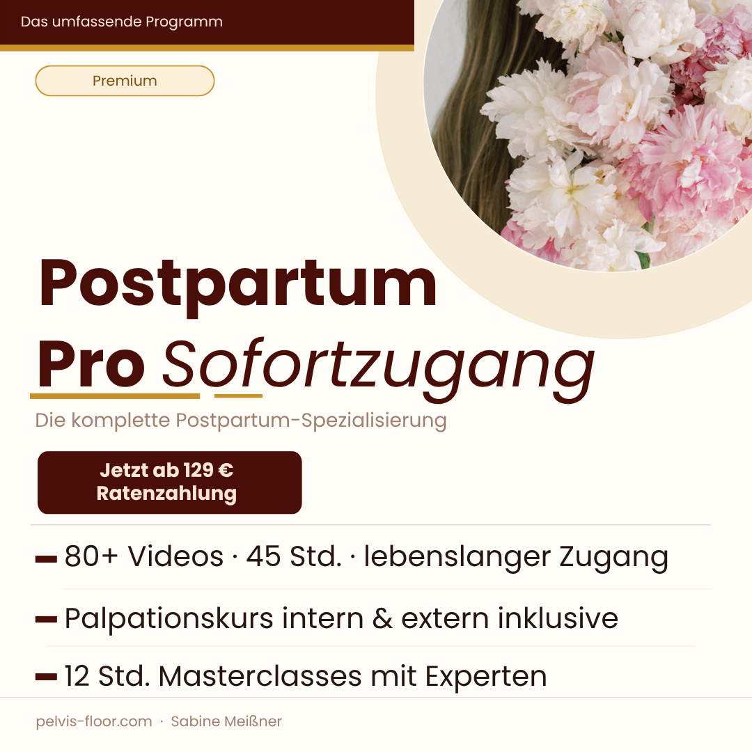 Shop_Cover_Beckenboden_Basics.pptx-5-1080x1080.png