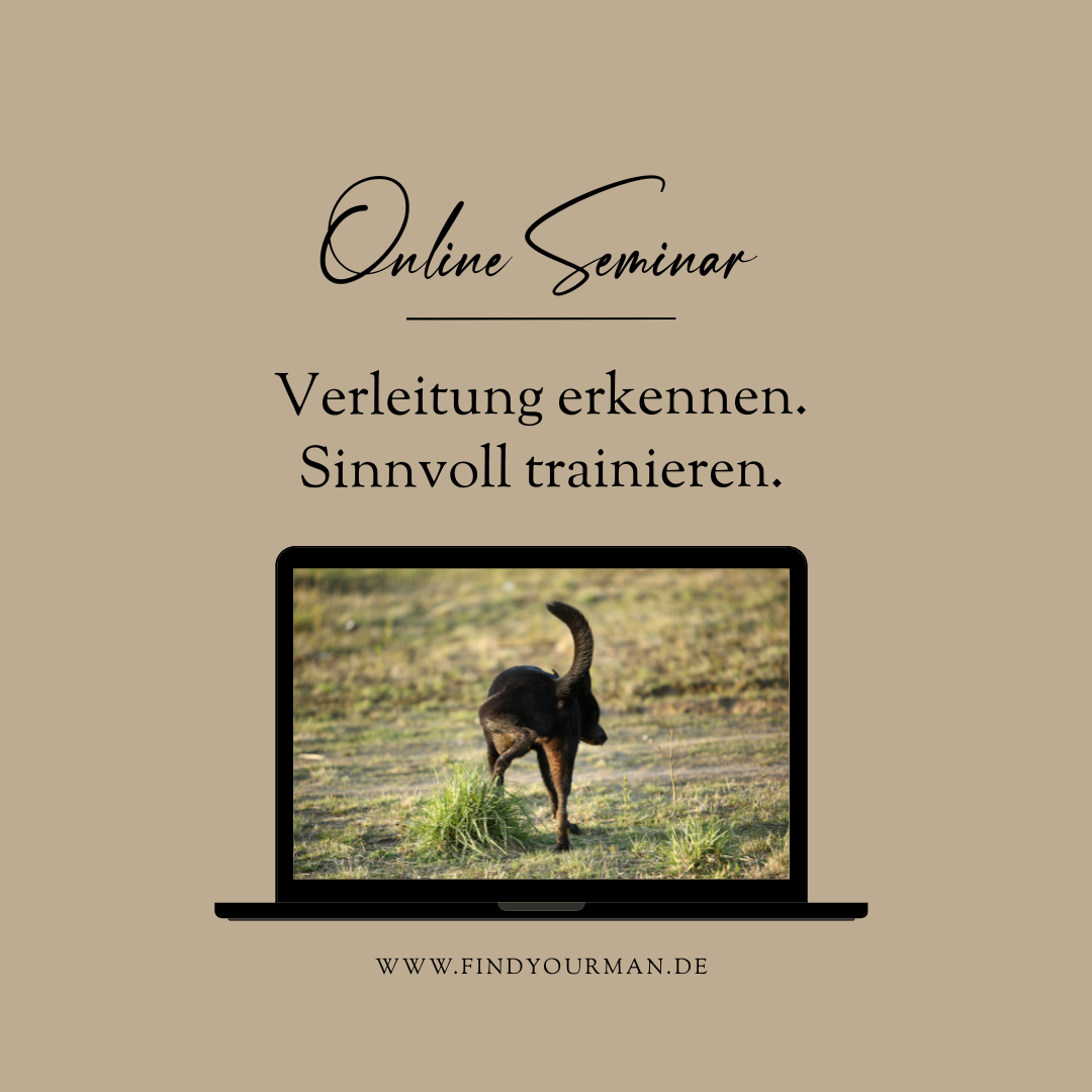 Verleitung-1080x1080.png