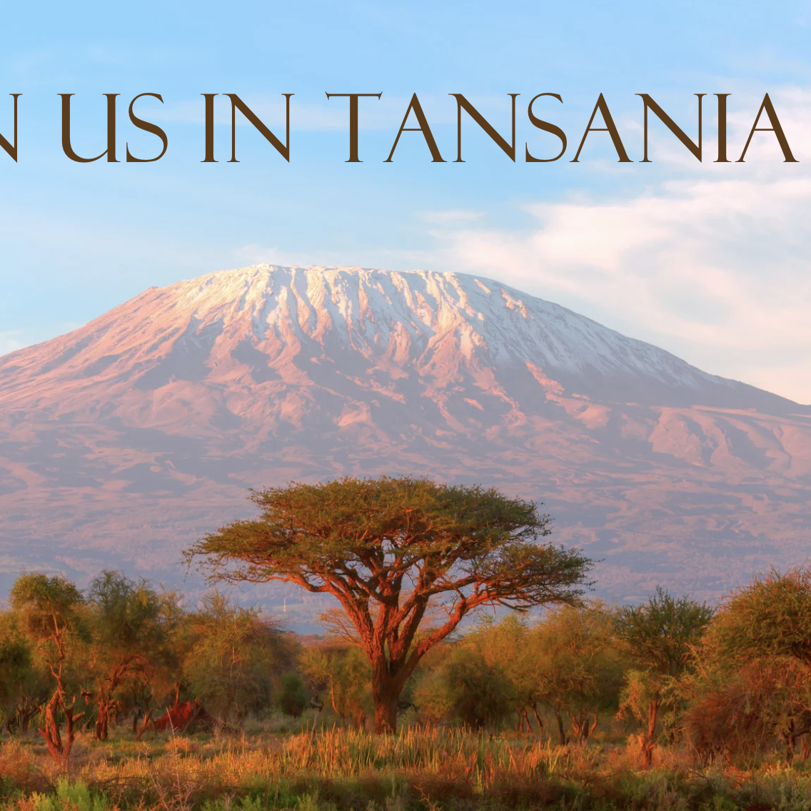 Bildschirmfoto 2025-10-21 um 18.16.28-1136x1136.png