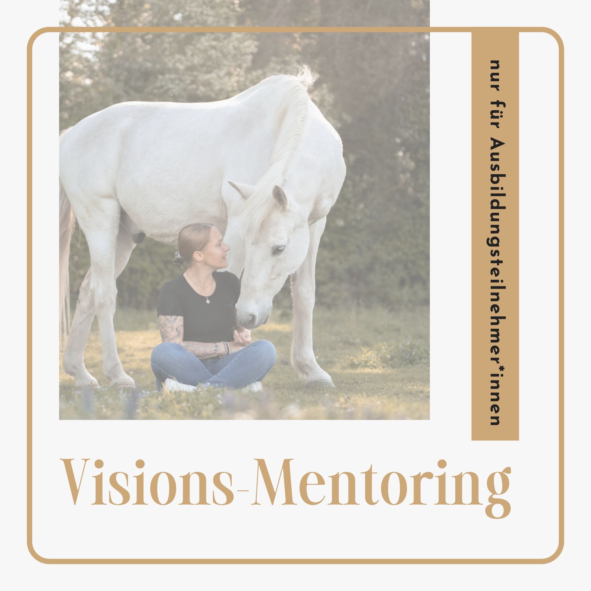Visions-mentoring (1920 x 1920 px)-1920x1920.jpg